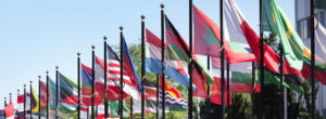 flags-un